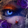 .:Black Widow:.
