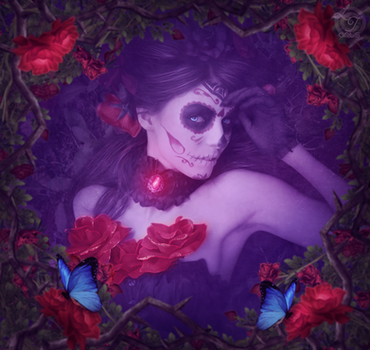 Bella Muerta