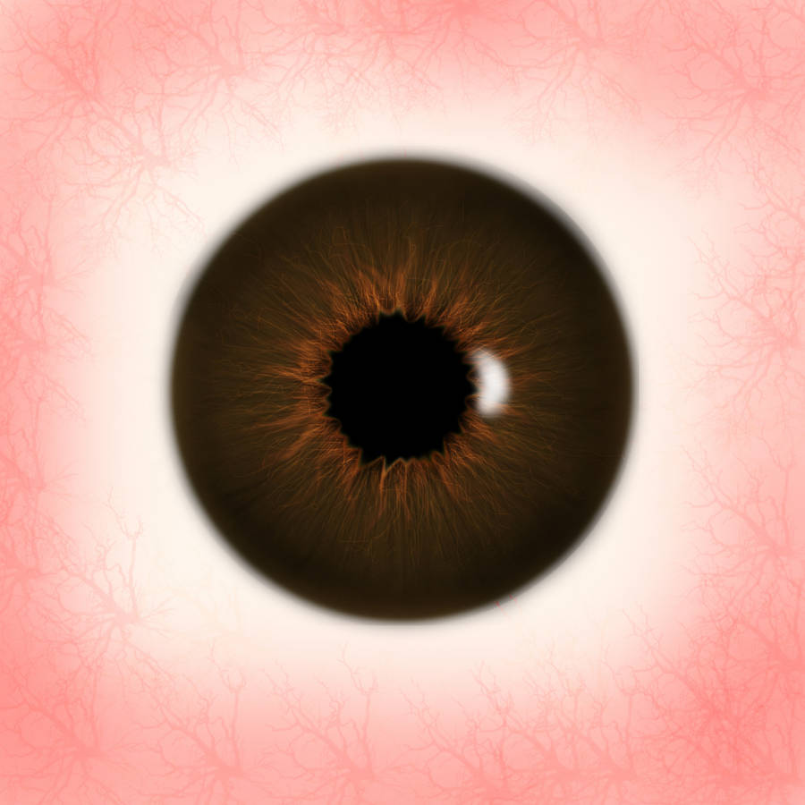 Brown Eye Texture by jfreak86