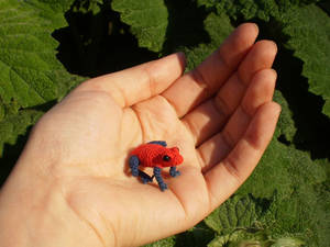 Strawberry poison dart frog (OOAK)