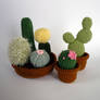 Crocheted cacti
