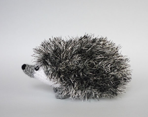 Pygmy hedgehog