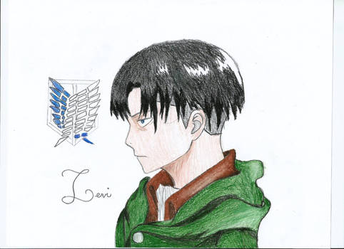 levi