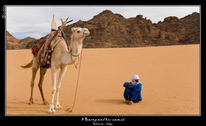 A Tuareg and his Camel