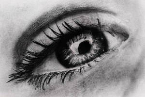 Eye Sketch