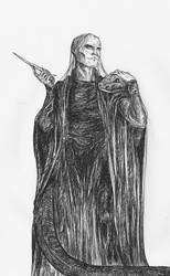 Ballpen Voldemort