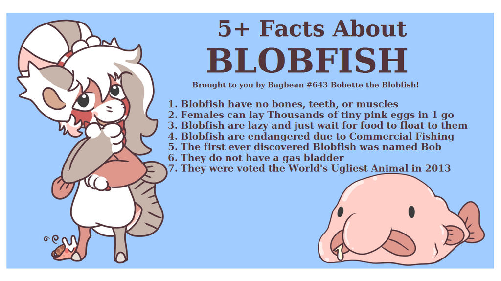 5+ Facts About Blobfish by Nikko-Usagi on DeviantArt