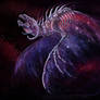 Nebula