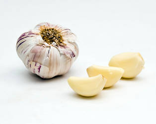 Garlic
