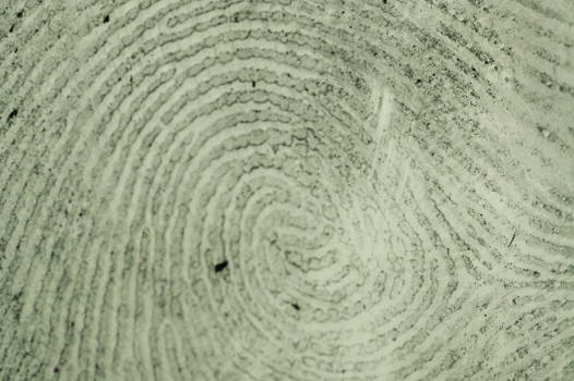 fingerprint 2
