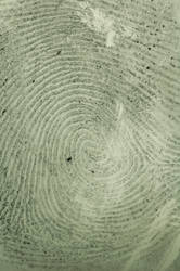 fingerprint 2