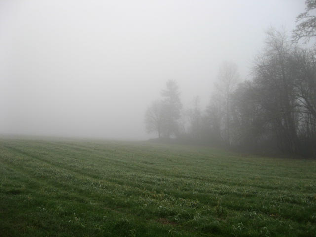 Creepy Morning by screamolover14 on DeviantArt