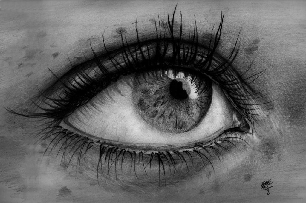 Lady's Eye - Pencil Drawing