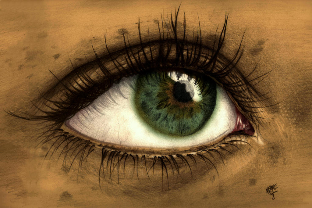 Lady's Eye - Pencil Drawing Painted