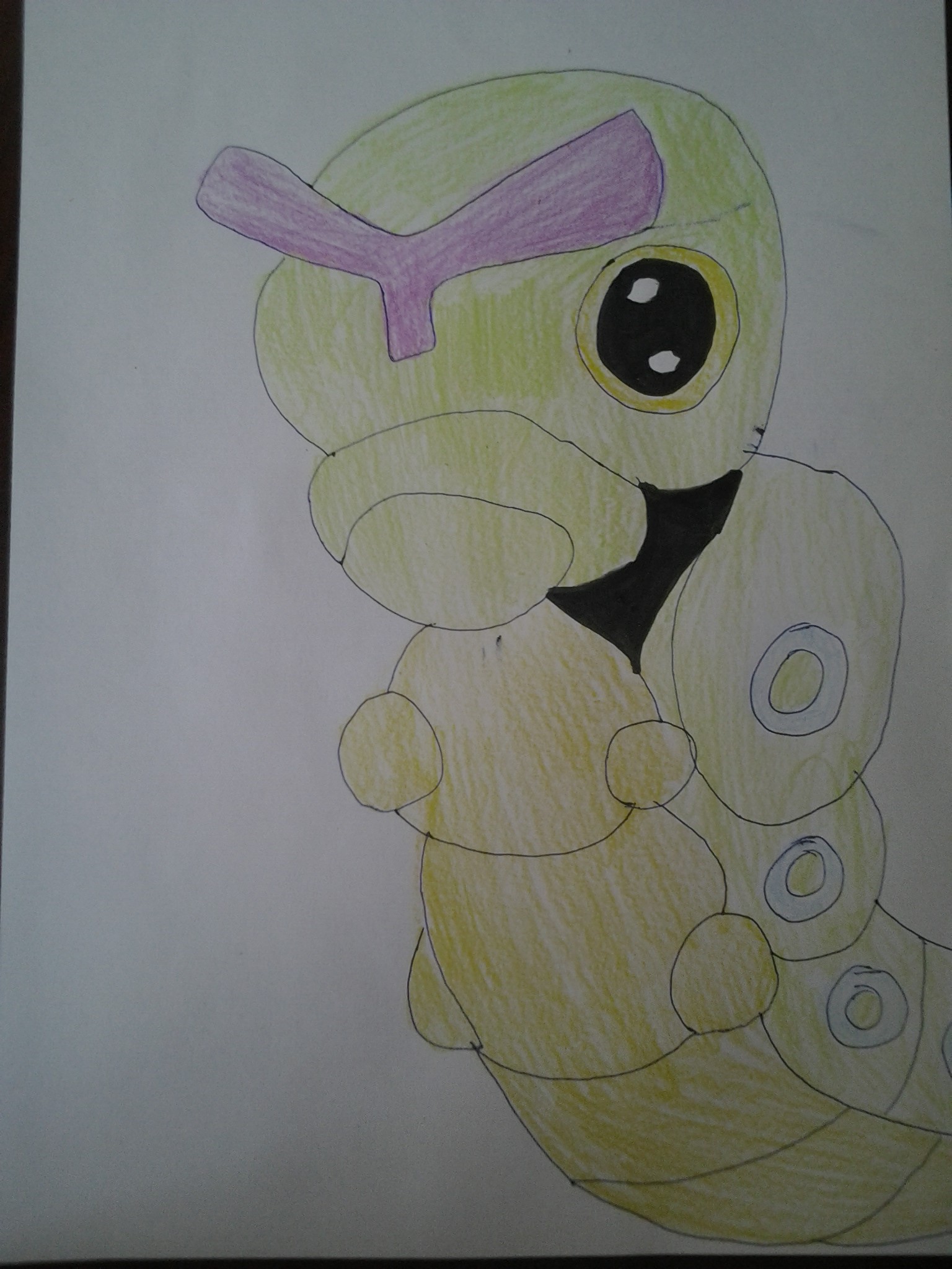 Caterpie