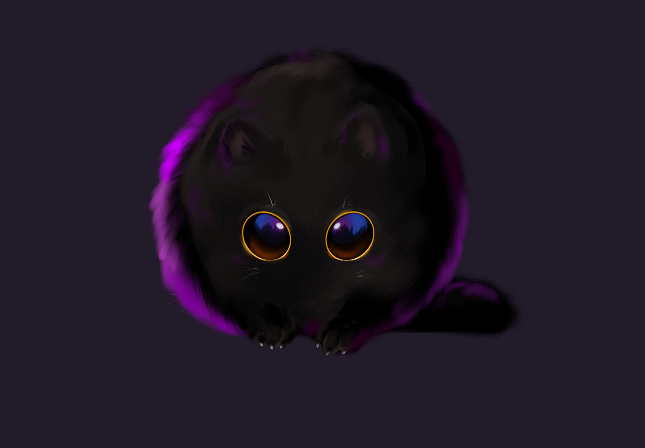 Fuzzball by aTiredWitch on DeviantArt
