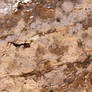--wood--