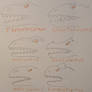 Theropod Hoofden en Kaken/Heads and Jaws