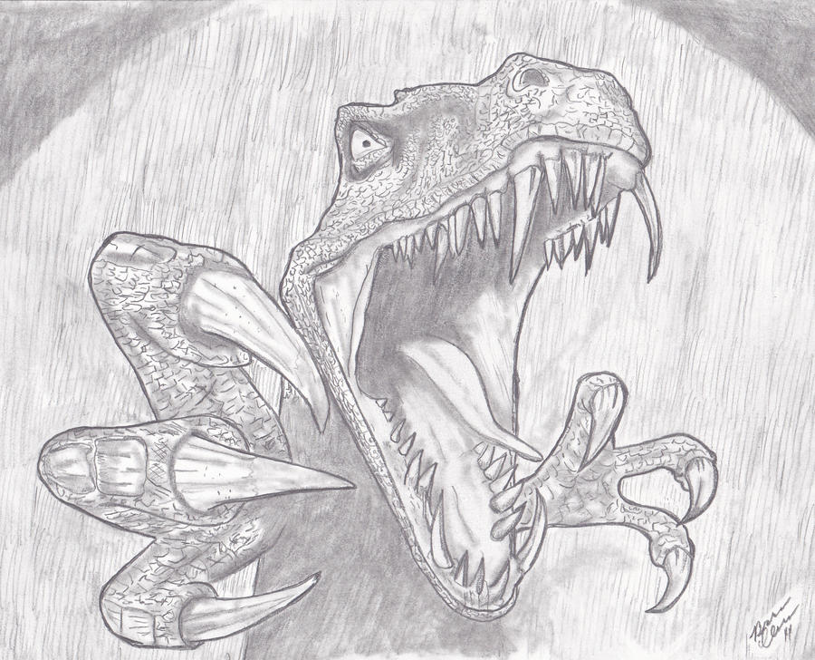 Raptor by selector67 on DeviantArt