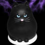 Obey the Cat