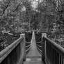 Hangin' bridge