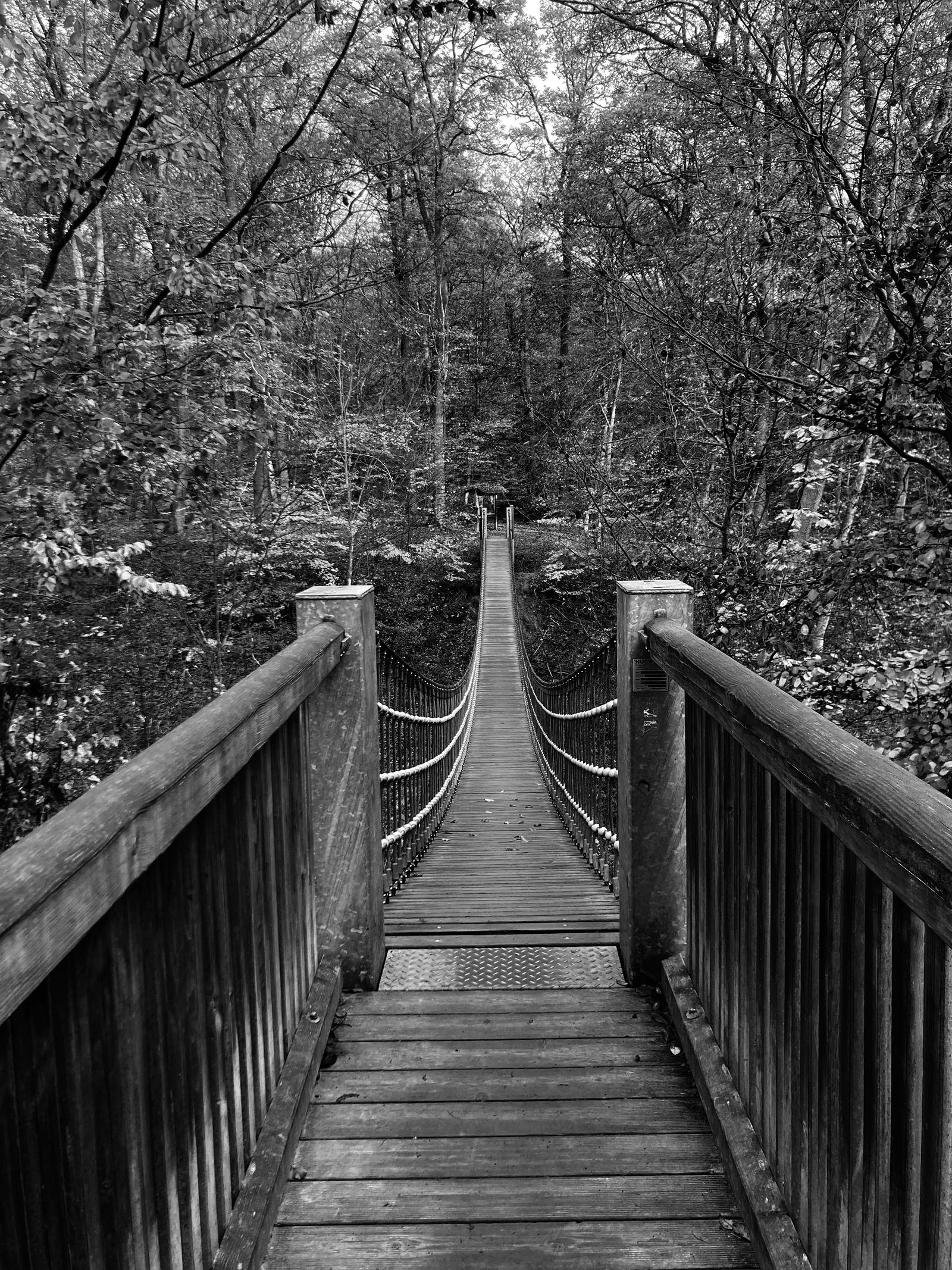 Hangin' bridge
