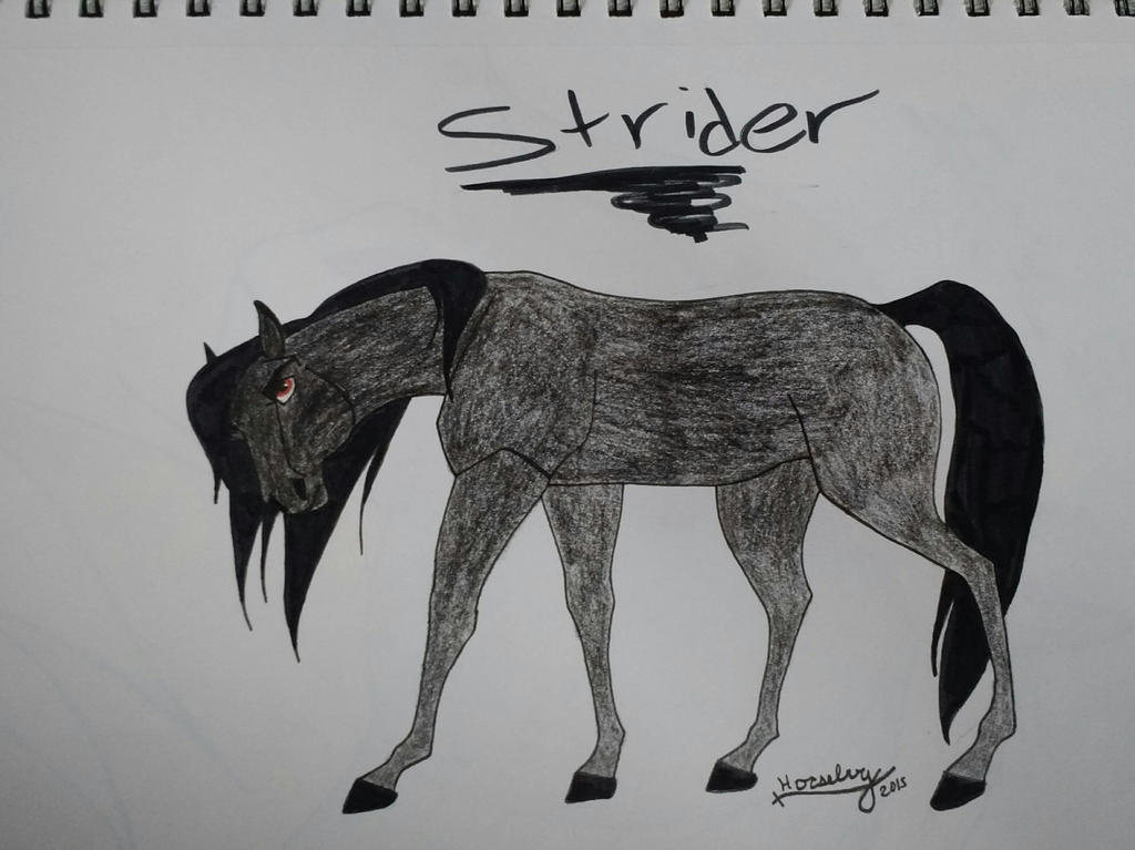 Strider Drawing by Horsebug on DeviantArt