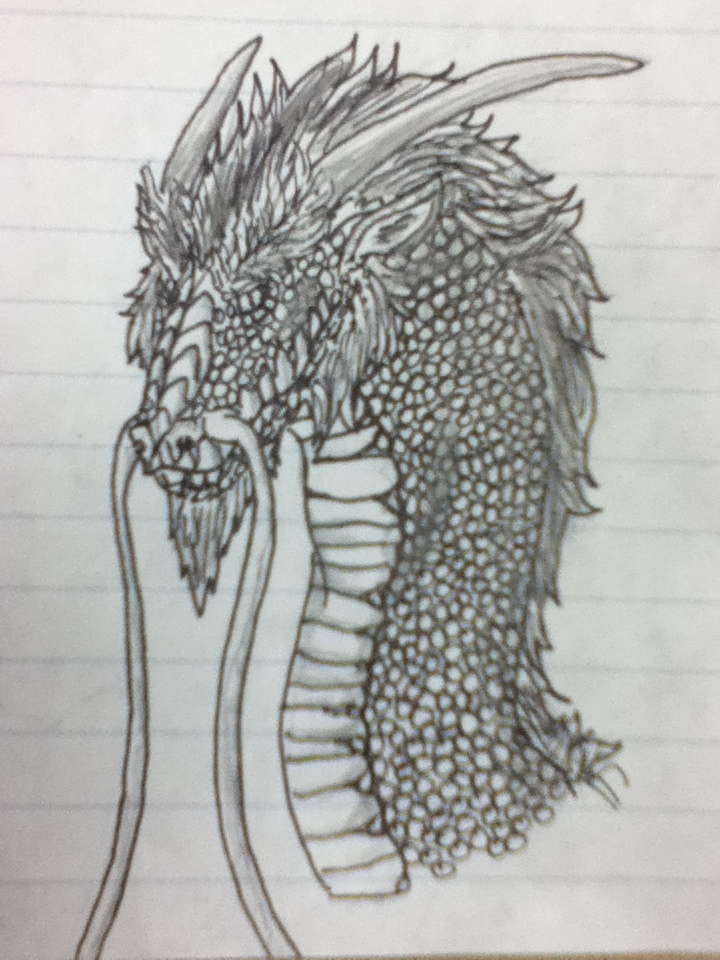 Dragon Head