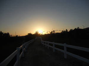 Yorba Linda trail at sunset