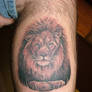 Tattoo Lion Portrait