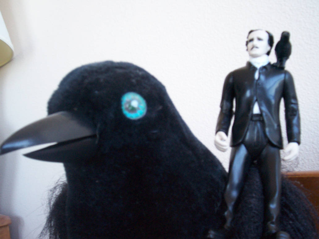 Raven Riding by Mozart-the-Cat on DeviantArt