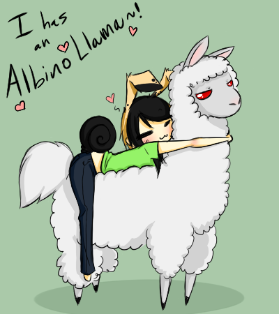 ALBINO LLAMA...