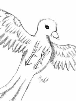 Sketch A Bird