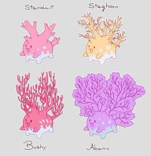 Corsola Variations