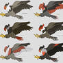 Staraptor Variations