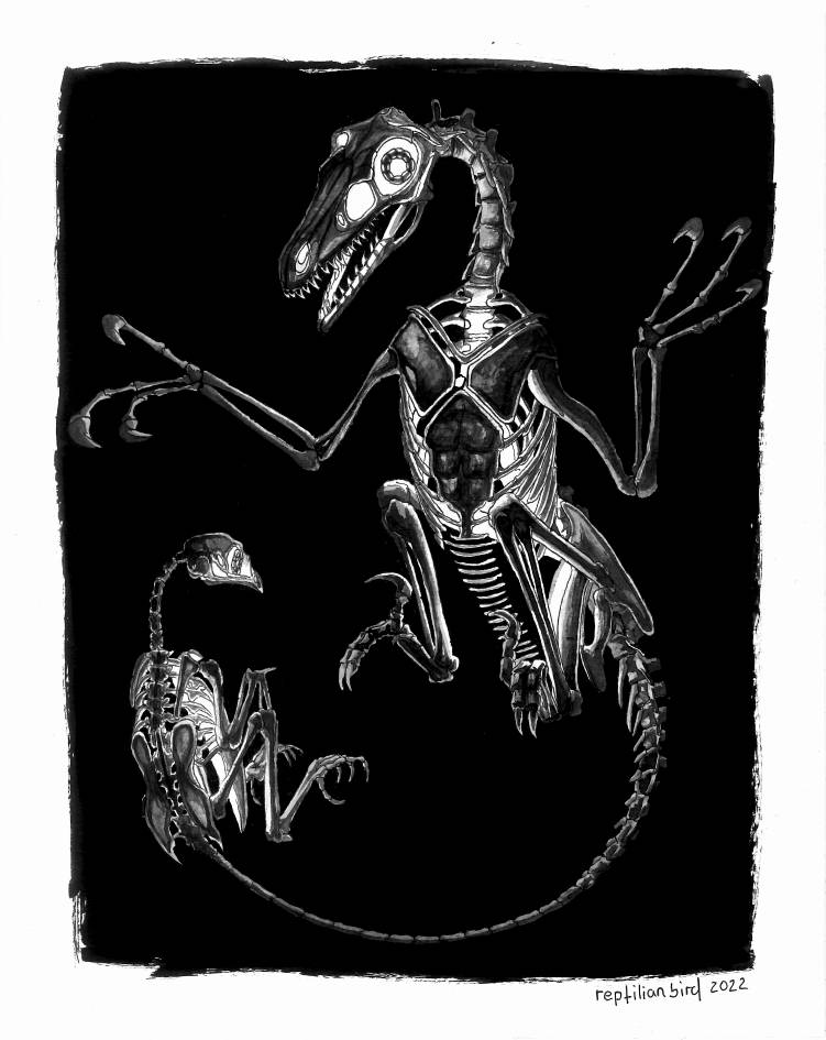 cognatorum_by_reptilianbirds_dfjd91r-414w-2x.jpg?token=eyJ0eXAiOiJKV1QiLCJhbGciOiJIUzI1NiJ9.eyJzdWIiOiJ1cm46YXBwOjdlMGQxODg5ODIyNjQzNzNhNWYwZDQxNWVhMGQyNmUwIiwiaXNzIjoidXJuOmFwcDo3ZTBkMTg4OTgyMjY0MzczYTVmMGQ0MTVlYTBkMjZlMCIsIm9iaiI6W1t7ImhlaWdodCI6Ijw9OTQ1IiwicGF0aCI6IlwvZlwvYmNhM2NjMjktZTNhMC00NmJmLWFkZGItMDZmNmQ5MzMwMWZmXC9kZmpkOTFyLWJiMTIwMzQwLTdjYjUtNGQ2MC1hYTRmLWVkNmJmYzg2YzE0OC5wbmciLCJ3aWR0aCI6Ijw9NzUxIn1dXSwiYXVkIjpbInVybjpzZXJ2aWNlOmltYWdlLm9wZXJhdGlvbnMiXX0.LmWoU7dJRTiTouj0PKEsQCG43GRctz_gVmVfNp1GfGE