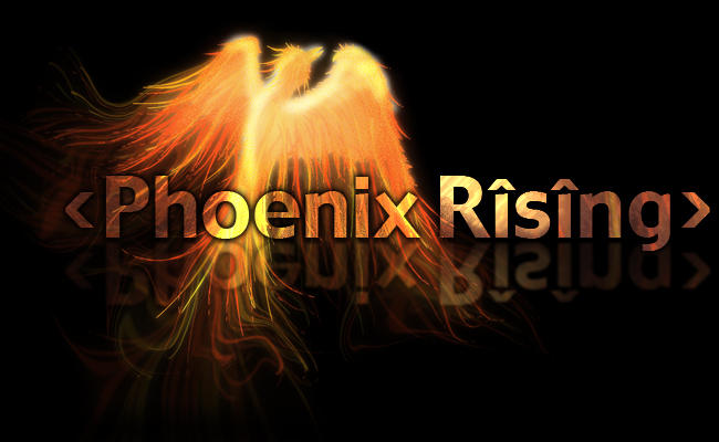 Phoenix Rising2 by bananavomit on DeviantArt