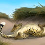 Cheetah laying on the beach