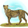 Cheetah (gift)