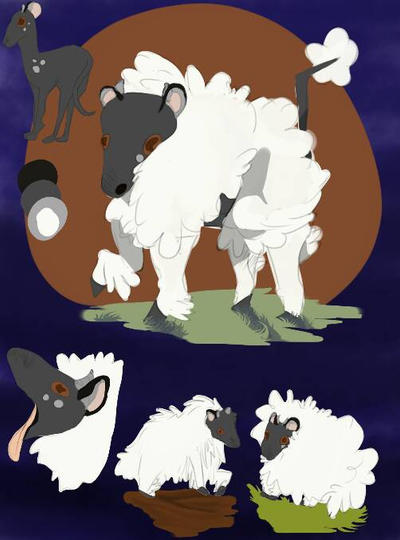 Deviantart 2007 Sheep Feeling sheepish. :) by WoodenTrees on DeviantArt