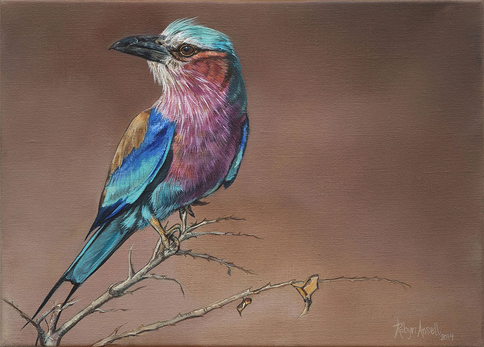 Lilac-breasted Roller