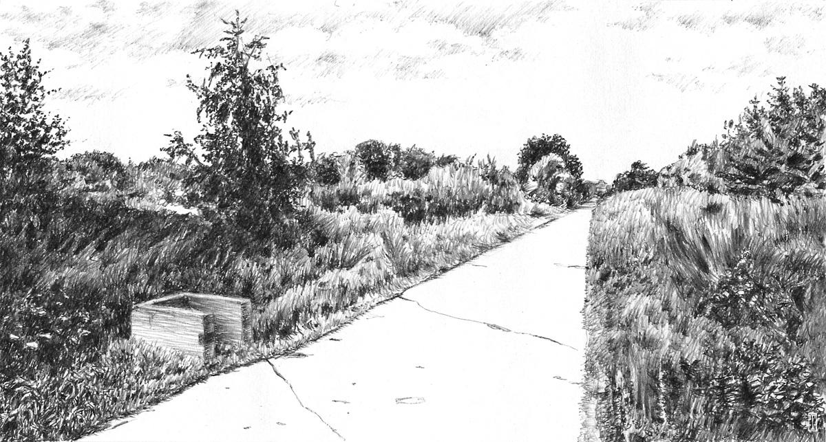 Road Deviantart Road by liquidforests on DeviantArt