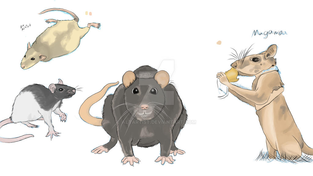 Rat Deviantart Rat Art by AltArtist on DeviantArt