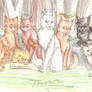 ThunderClan Request