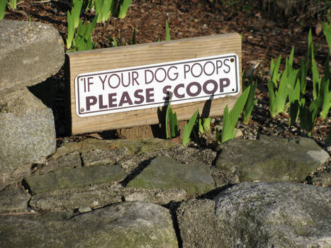 '...Please Scoop'