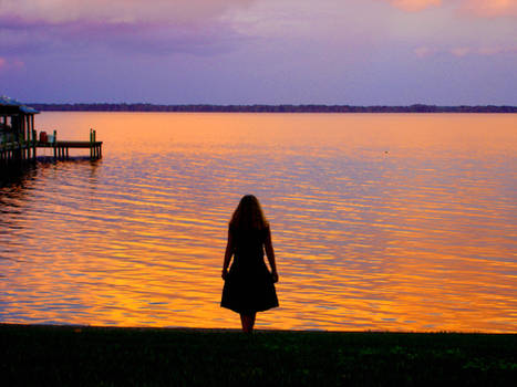 Florida sunset sillouette