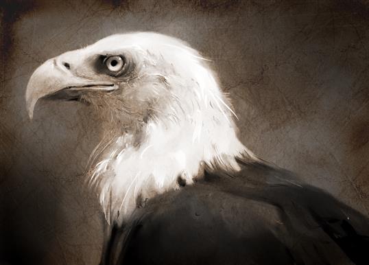 Eagle [Study]