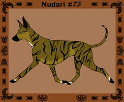 *Winter Import Canis Nudari 73* (Sold)