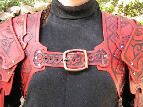 Shoulder armour detail 2