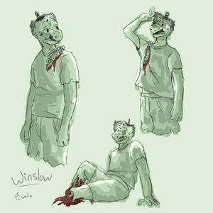 Winslow Sketchpage